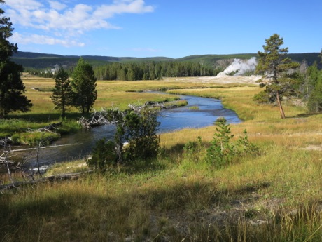Old Faithful Basin walk